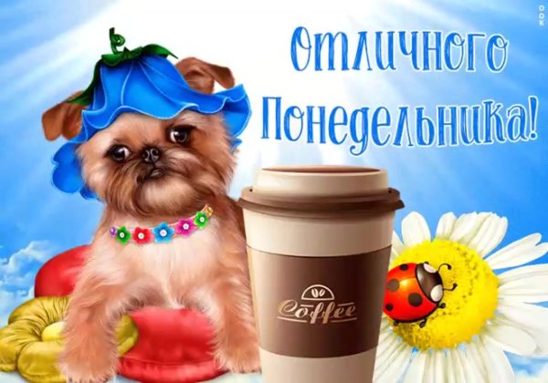 открытка с понедельником прикольные