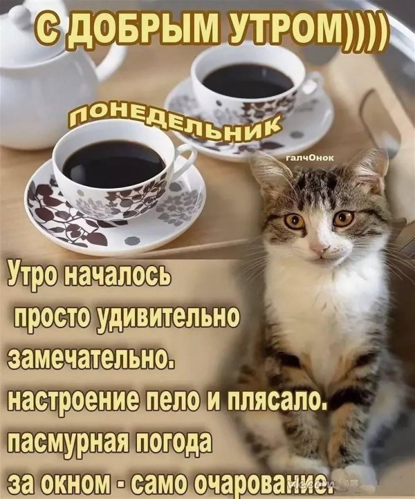 понедельник доброго утра