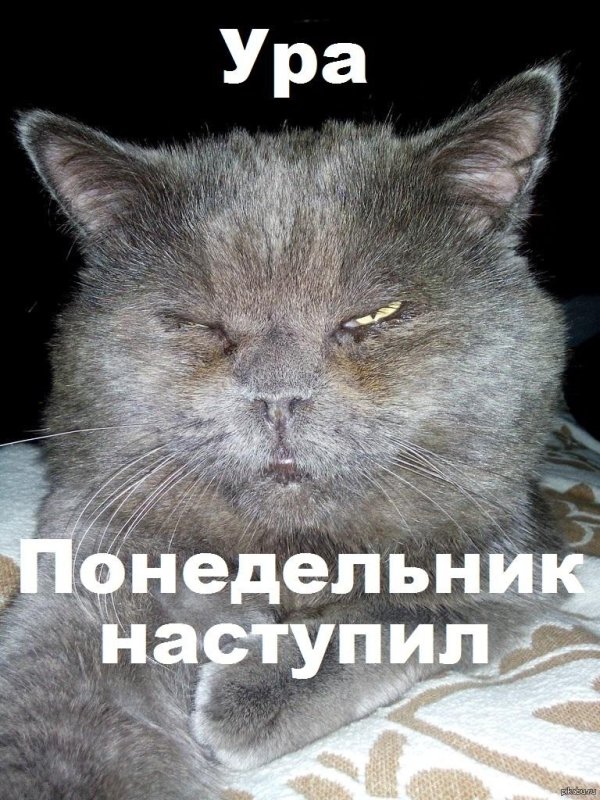 отменить понедельники