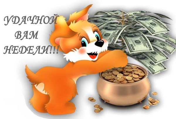 удачной недели