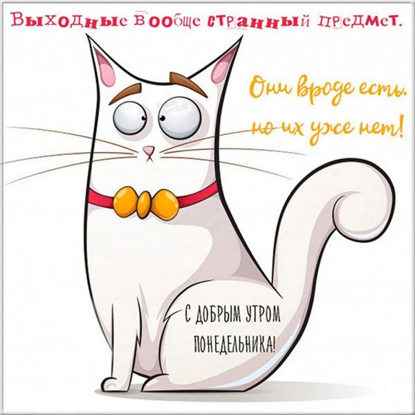 кот векторный