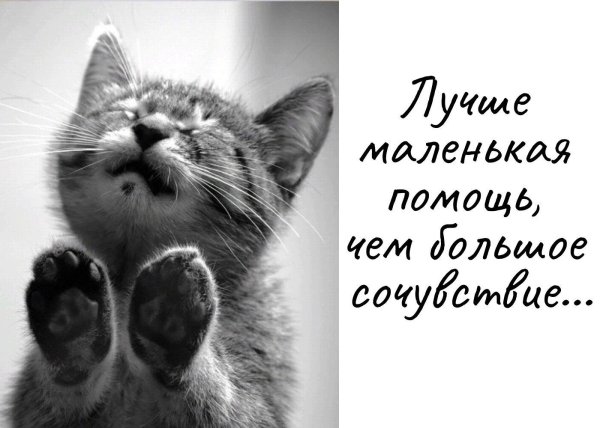 просим прощения