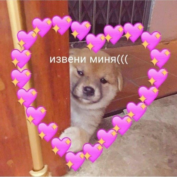 милая собачка