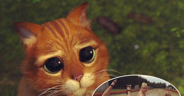 шрек кот