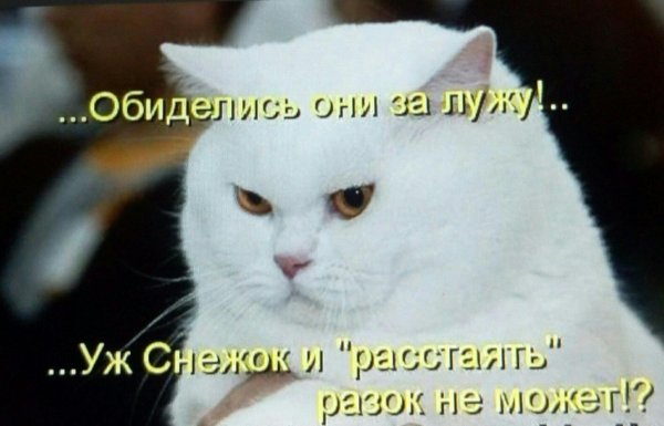 я обижаюсь