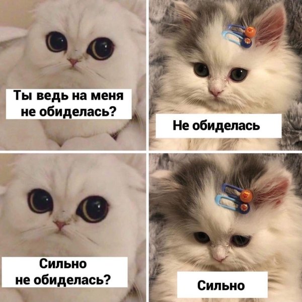 я обижаюсь