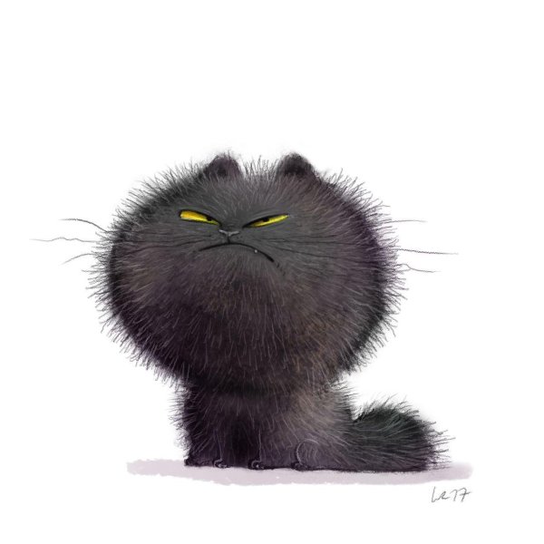 котик злюка
