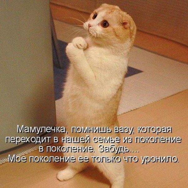 поколение моё