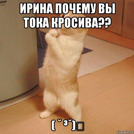 умоляю мем