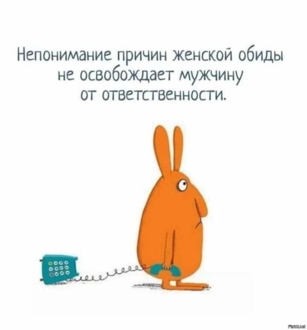 непонимание прикол