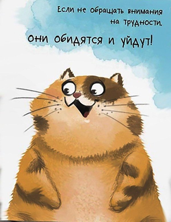 рисованные коты