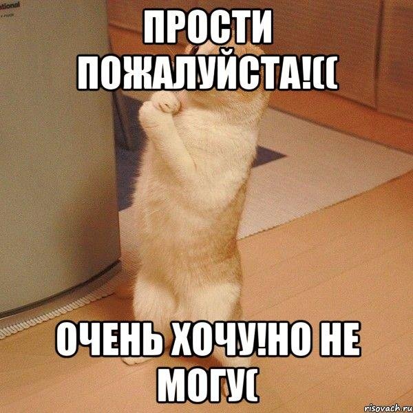 прошу умоляю