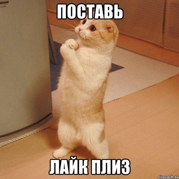 создай мем