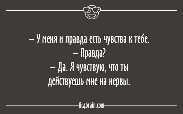 юмористические цитаты