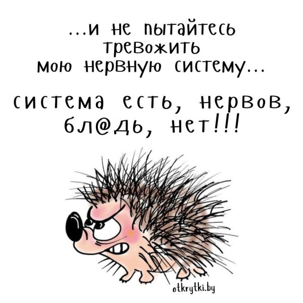 сердитый ежик