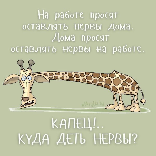 подозрительный жираф