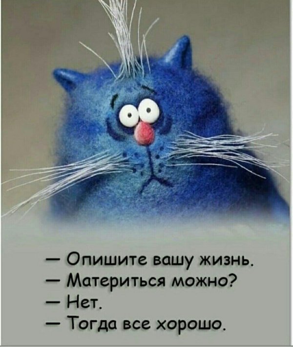 опишите вашу жизнь материться можно