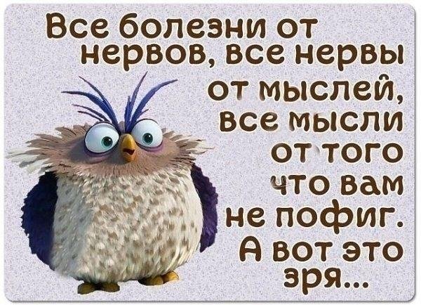 все мысли