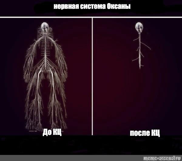 нервной системы
