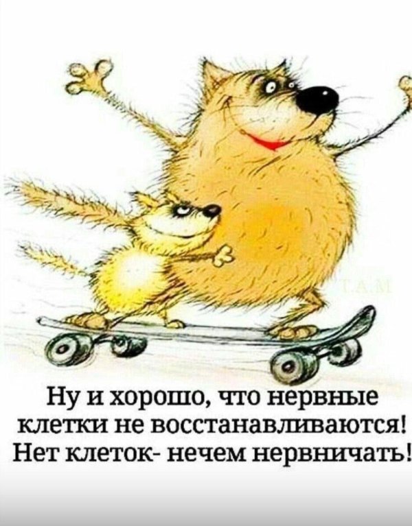 юмористические открытки