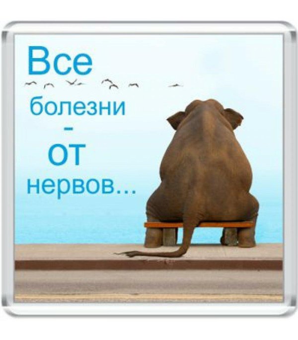 грустный слон