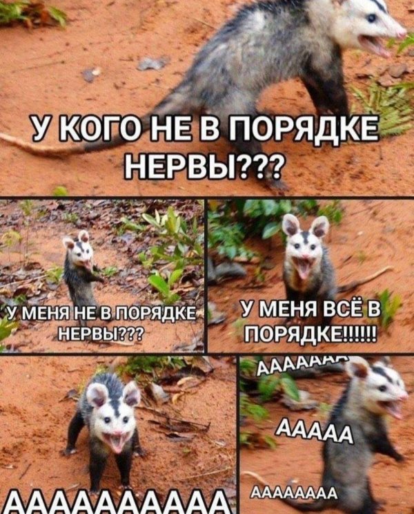опоссум паника