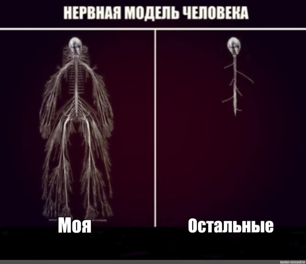 нервной системы