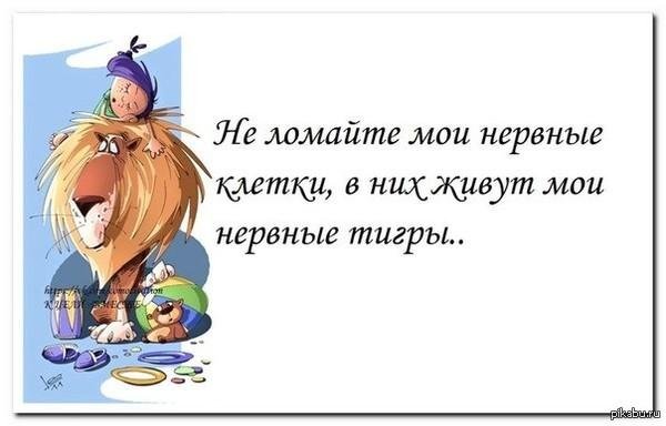 мои нервные клетки