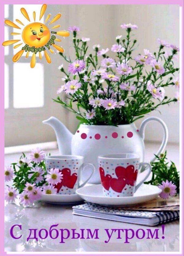 красивые цветы с пожеланиями доброго утра и дня