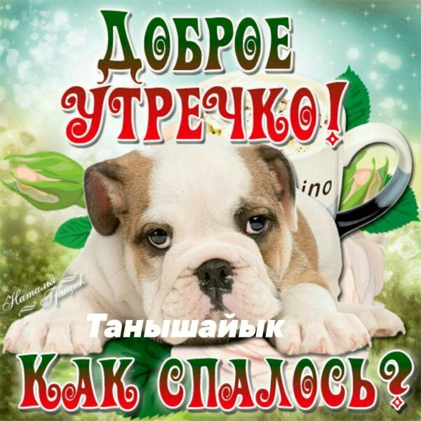 прикольная открытка с добрым утром