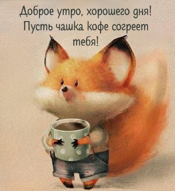 очаровательные лисята