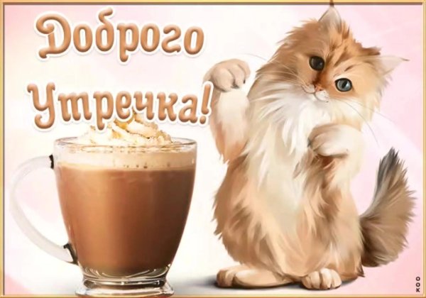 доброго утра с котиками