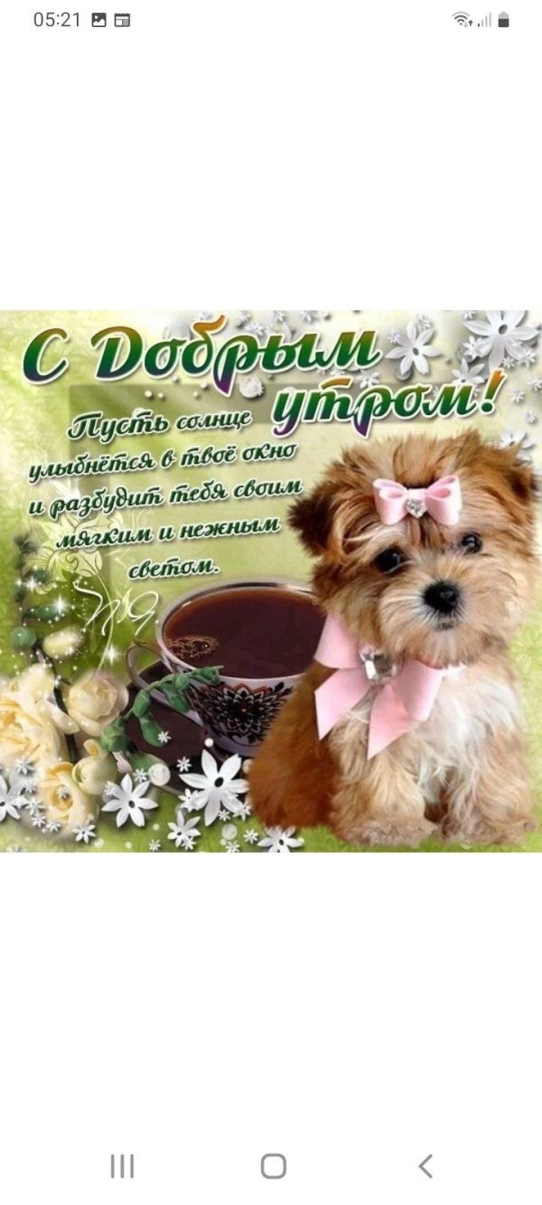 Утренний приветик