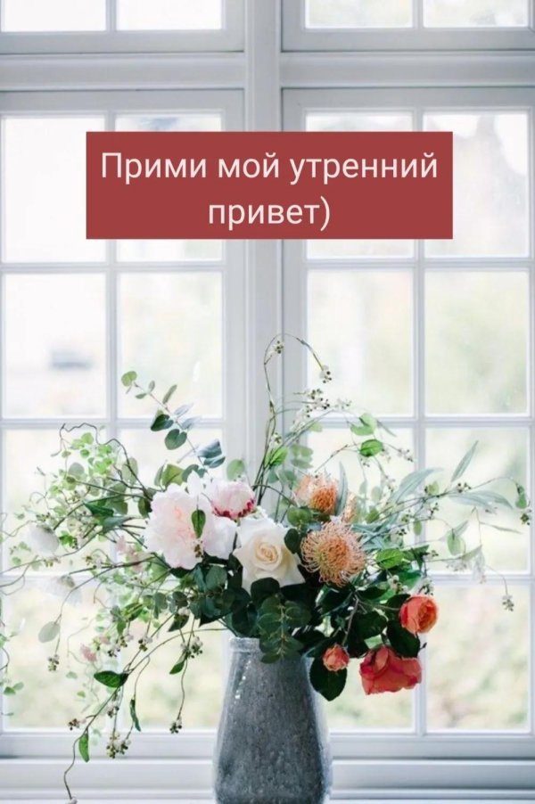 утренний приветик