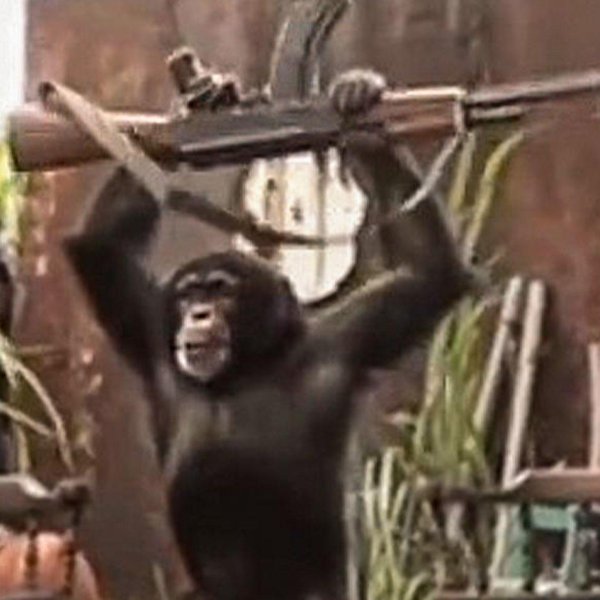 Обезьяна с гранатой