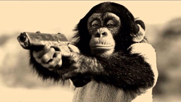 обезьянка с пистолетом