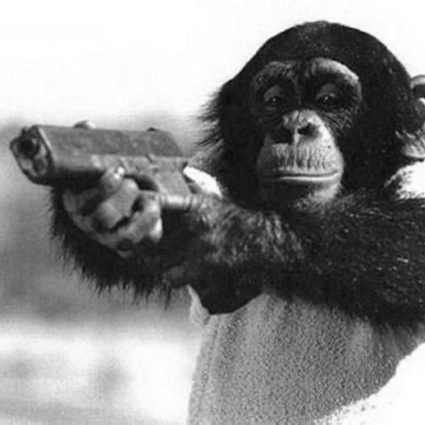 Обезьяна с гранатой