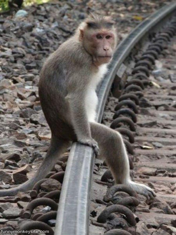 на железной дороге