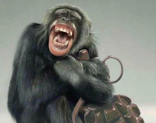 смех обезьяны