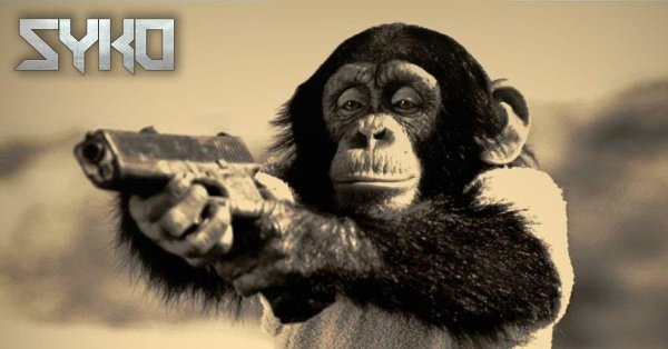 обезьянка с пистолетом