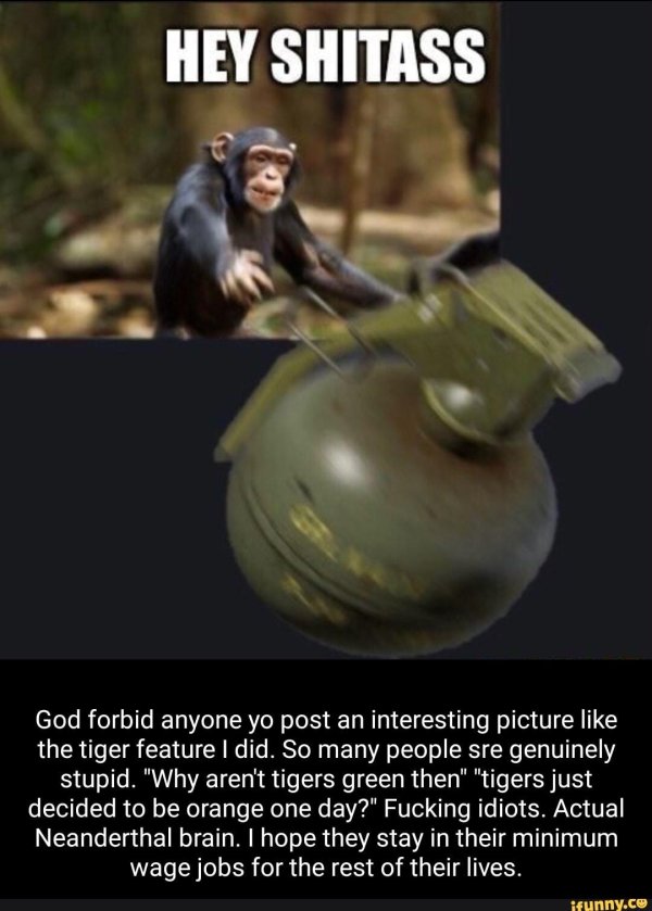 обезьянка с гранатой