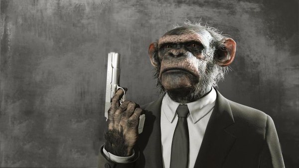 Обезьяна с гранатой