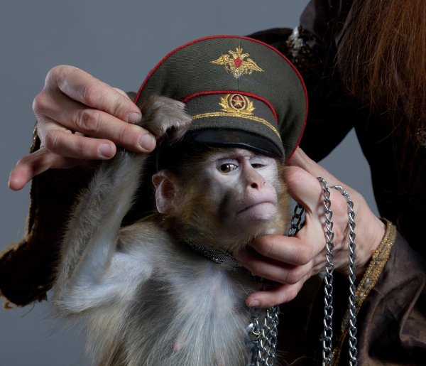 обезьянка в форме полицейского