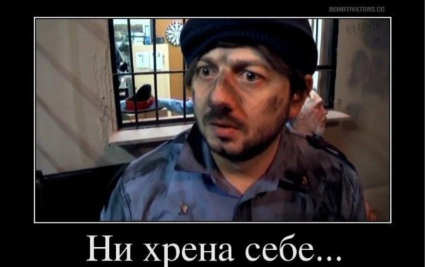 наша раша бородач