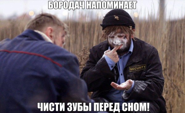 бородач приколы