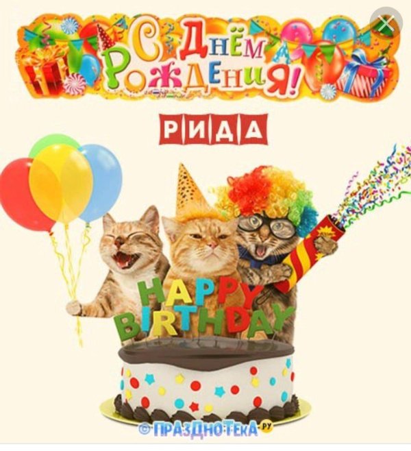коты день рождения