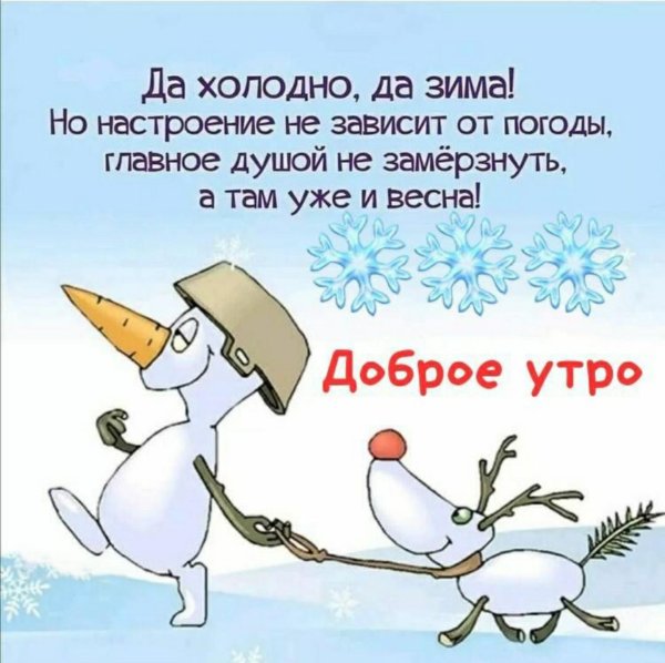 смешные зимние высказывания