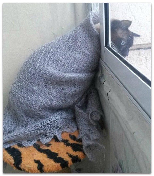 шаль пуховая козий пух