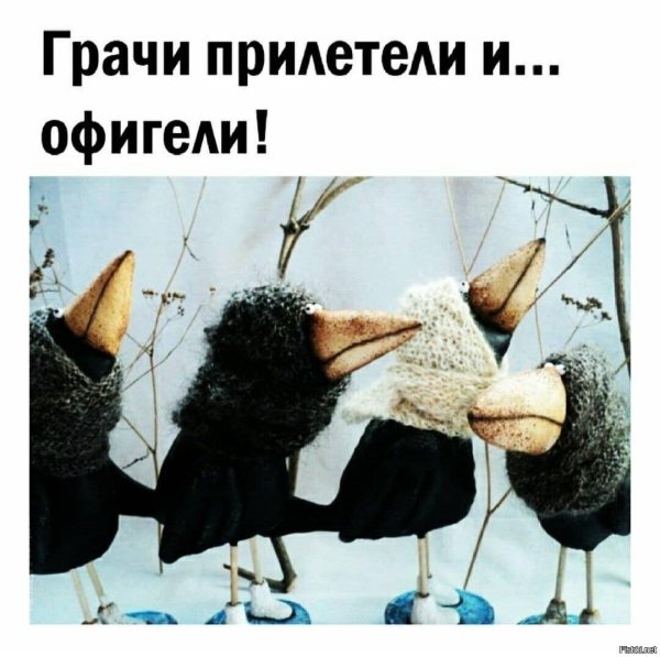 игрушка ворона