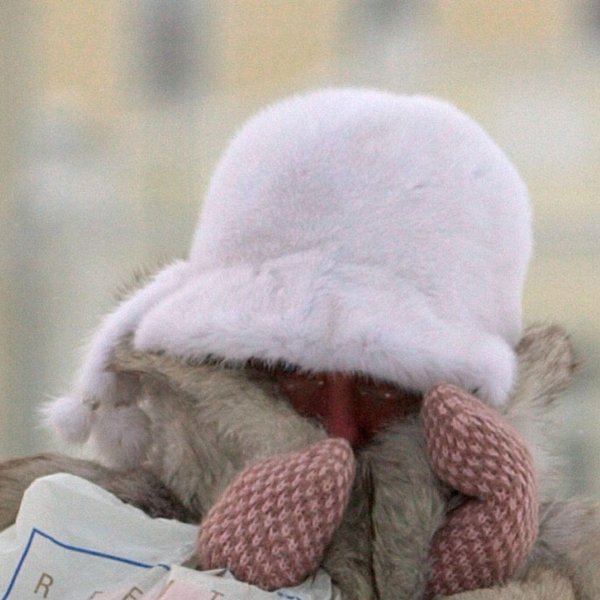 Холодрыга